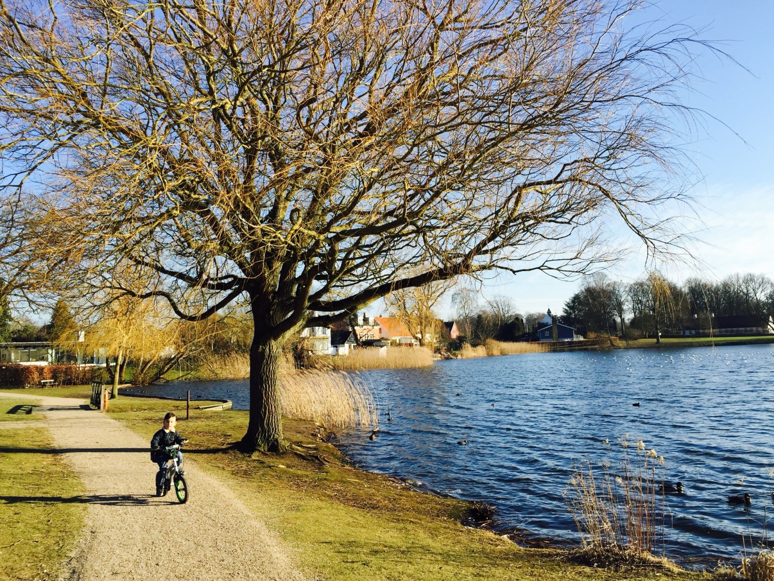 Chúng ta đã làm gì khi còn&nbsp;trẻ?